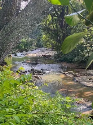 10.7- Perch Waterfront Land in Kandy District Sale