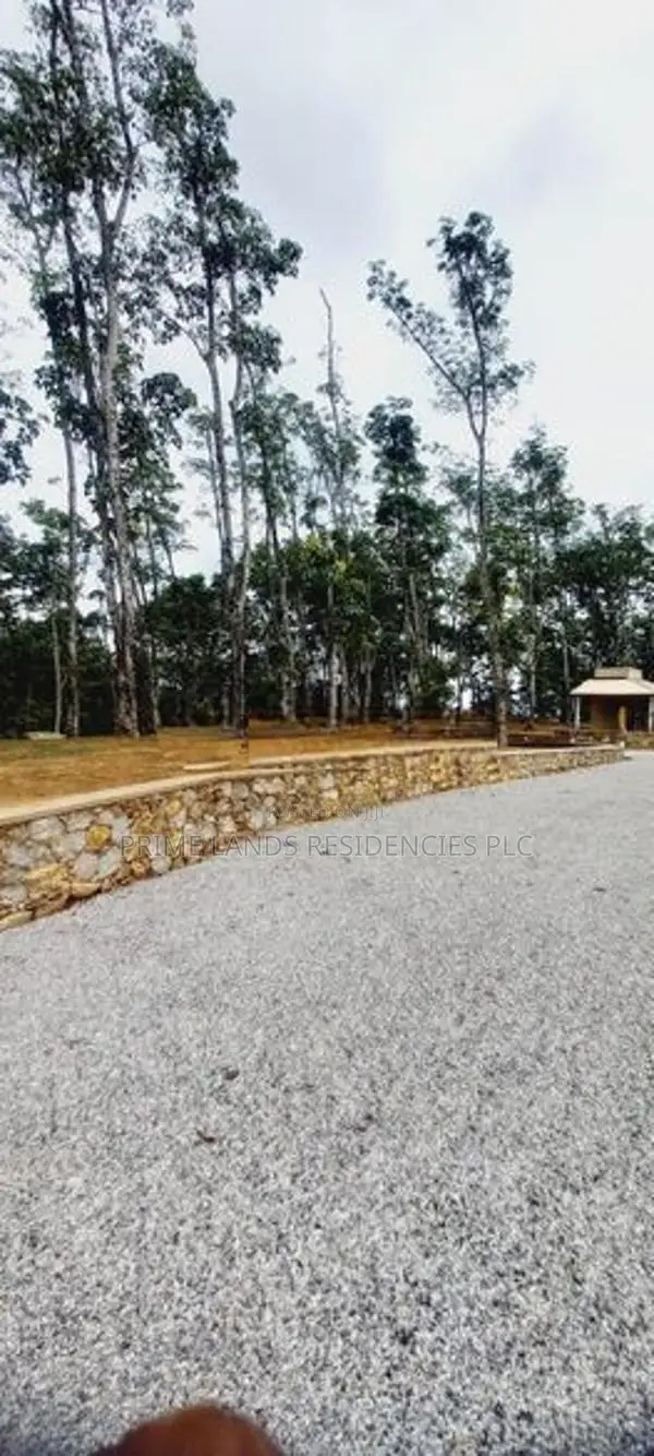 Land for Sale in Horana