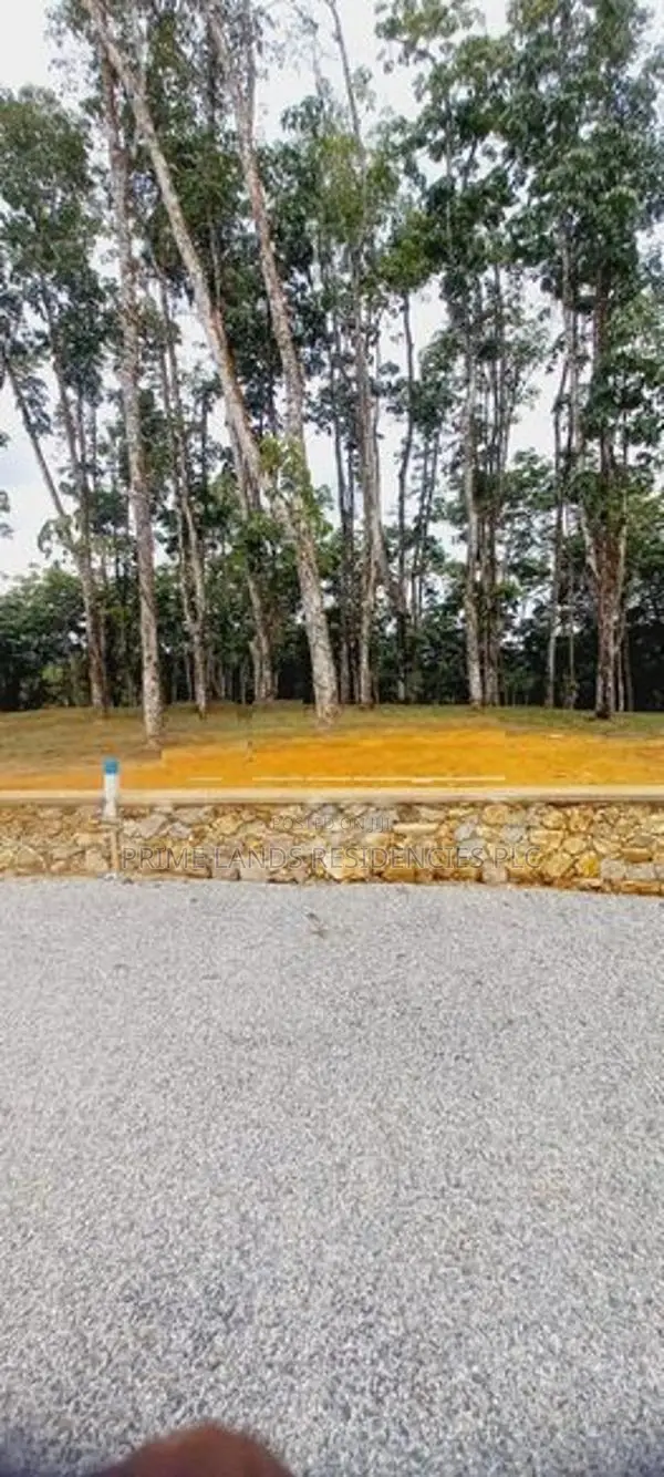 Land for Sale in Horana