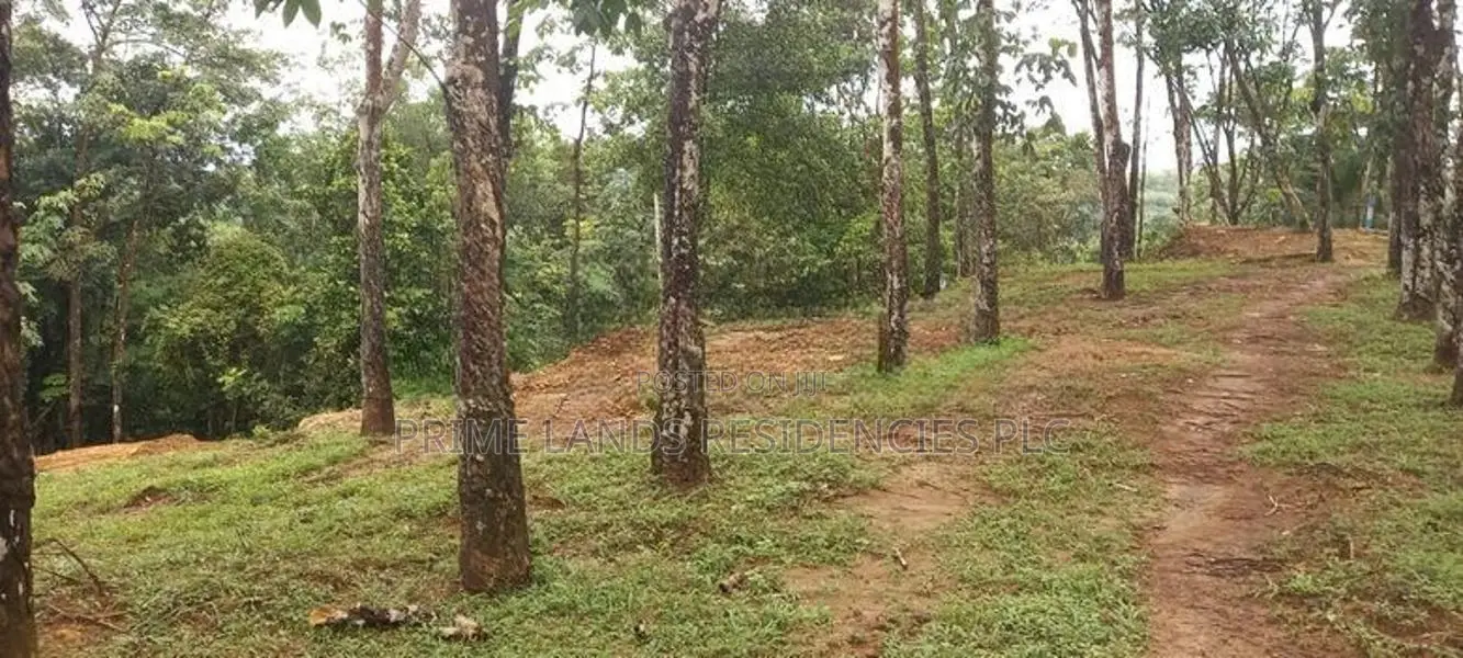 Land for Sale in Horana