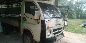 Tata Dimo Batta 2010 Lorry (Used)