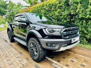 Ford Raptor 2019 Pickup (Used)