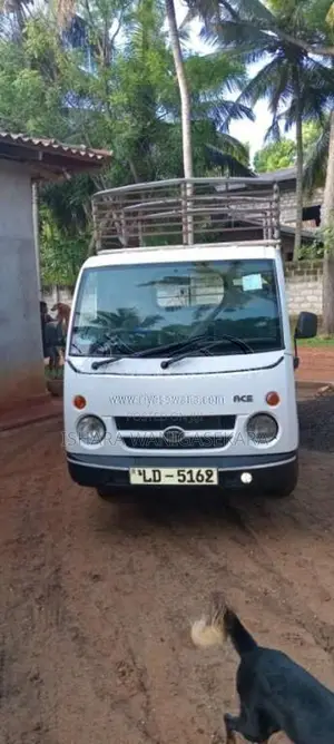 Tata Dimo Batta 2007 Lorry (Used)