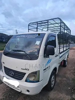 Tata Super Ace 2013 Lorry (Used)