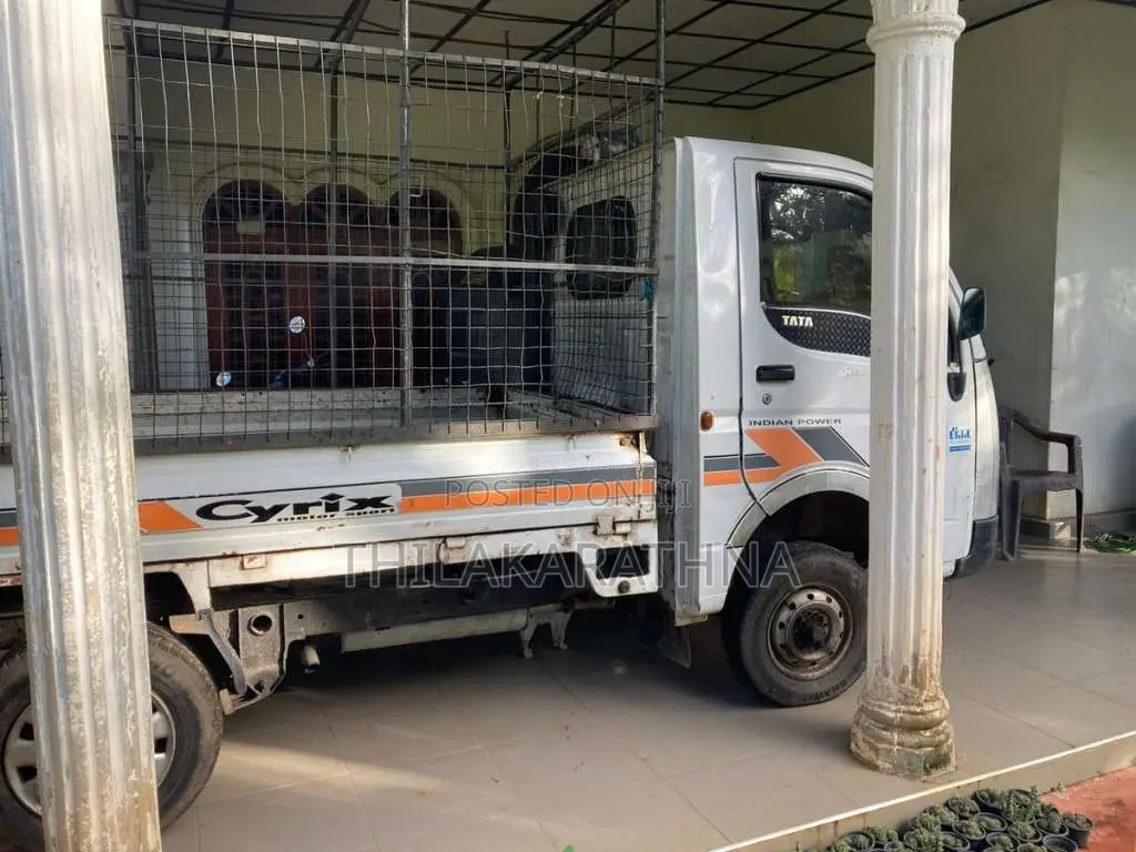 Tata Dimo Batta 2010 Lorry (Used)