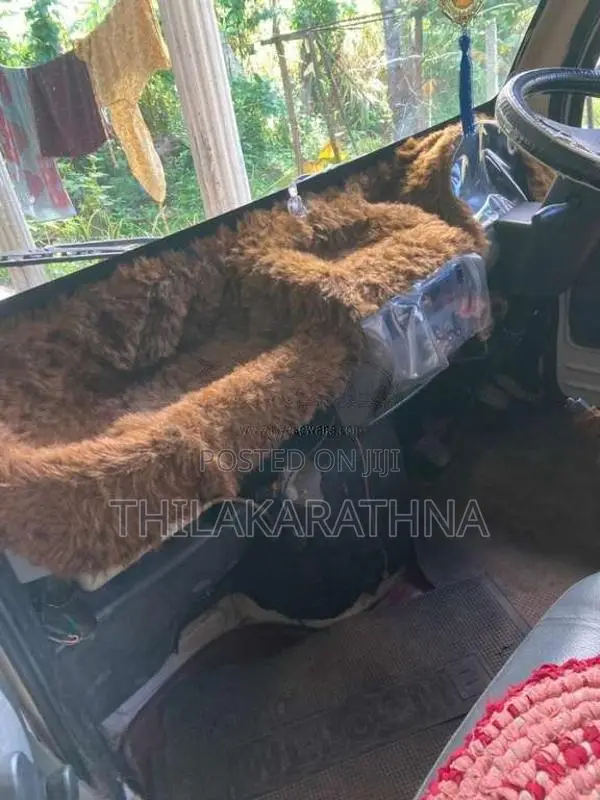 Tata Dimo Batta 2010 Lorry (Used)
