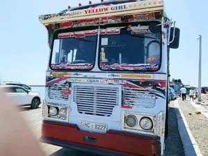 Ashok-Leyland Leyland 2010 Bus (Used)