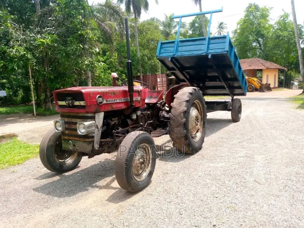 Massey-Ferguson 135 1995 Tractor (Used)
