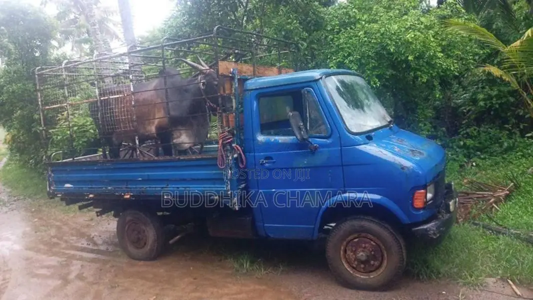 Tata 407 1998 Lorry (Used)