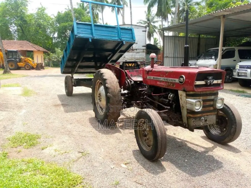 Massey-Ferguson 135 1989 Tractor (Used)