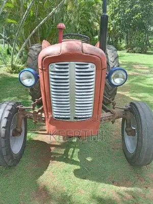 Massey-Ferguson IMT 539 Dilux 1990 Tractor (Used)