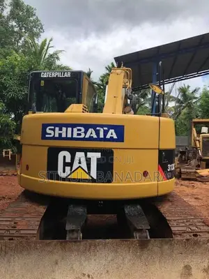 CAT 313 Excavator 2018 Heavy-Duty (Used)