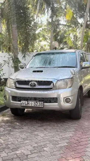 Toyota Hilux Vigo 2010 Pickup (Used)