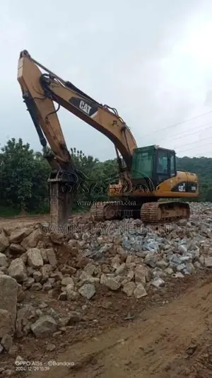 CAT 320D 2010 Heavy-Duty (Used)