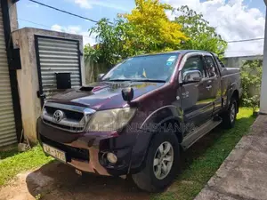 Toyota Hilux VIGO 2010 Pickup (Used)