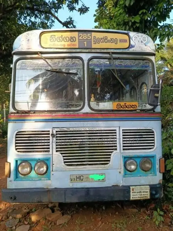 Ashok-Leyland Viking 2003 Bus (Used)