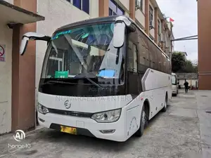 Other Golden Dragon 2026 Bus Brand New