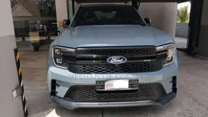 Ford Raptor 2025 Pickup (Used)