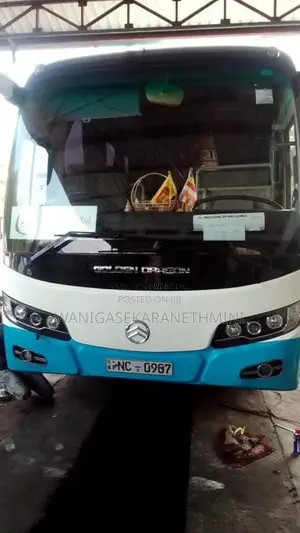 Micro Golden Dragon 2014 Bus (Used)