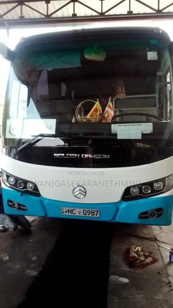 Micro Golden Dragon 2014 Bus (Used)
