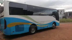 Micro Golden Dragon 2014 Bus (Used)