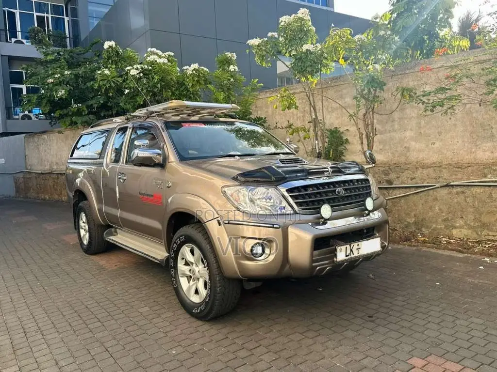 Toyota Hilux Vigo 2010 Pickup (Used)