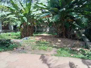 Kibulapitiya Land for Sale
