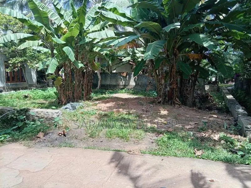 Kibulapitiya Land for Sale