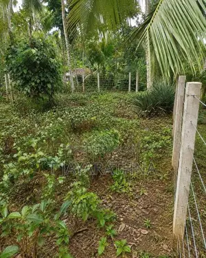 Land for Sale in Kosgama