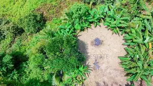 කැළණිය ගෝනවල පර්චස් 17 වටිනා ඉඩමක් / ST 13338