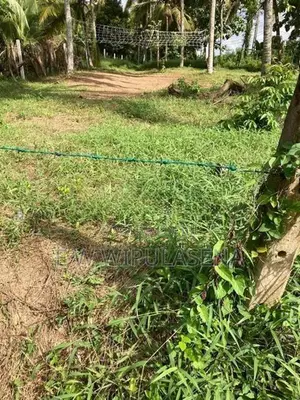 13.5 Perch land for sale in Ratupaswala