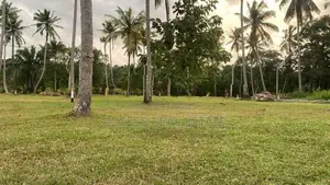 Land in Divulapitiya