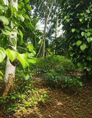 Land for Sale in Kosgama