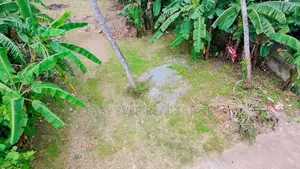 කැළණිය ගෝනවල පර්චස් 17 වටිනා ඉඩමක් / ST 13338