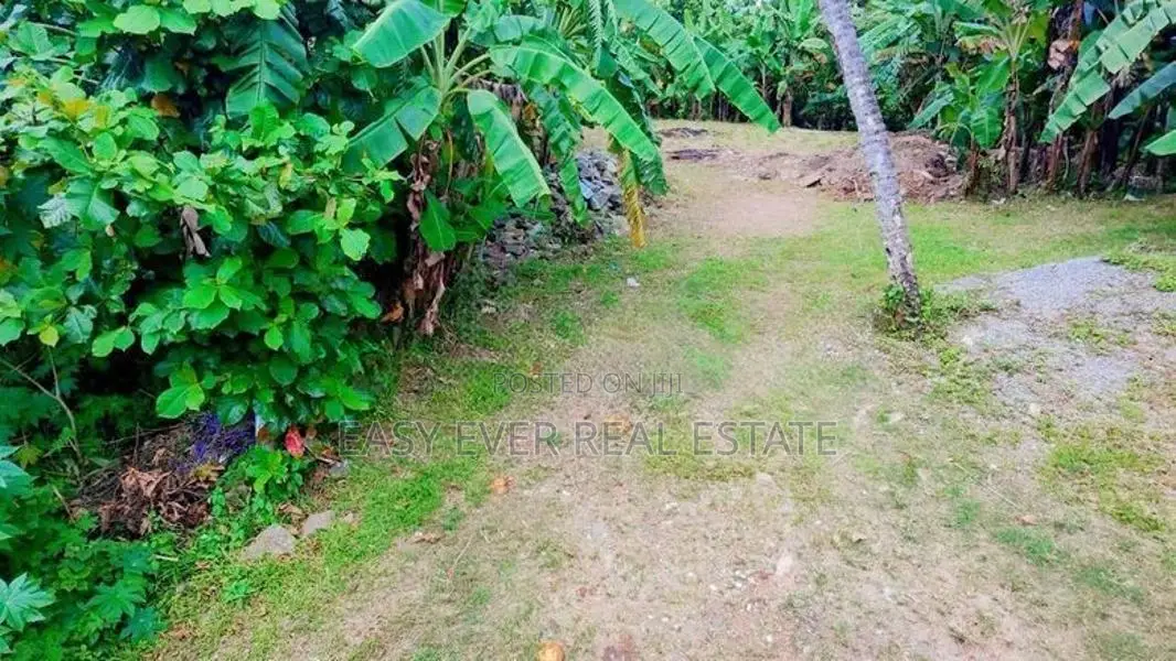 කැළණිය ගෝනවල පර්චස් 17 වටිනා ඉඩමක් / ST 13338