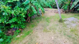 කැළණිය ගෝනවල පර්චස් 17 වටිනා ඉඩමක් / ST 13338