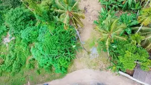 කැළණිය ගෝනවල පර්චස් 17 වටිනා ඉඩමක් / ST 13338