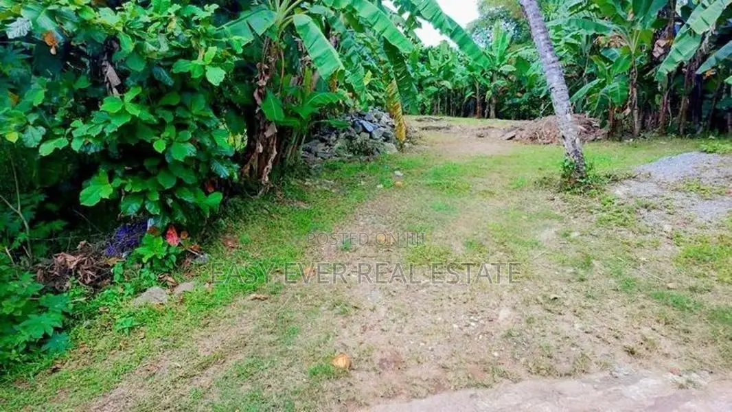 කැළණිය ගෝනවල පර්චස් 17 වටිනා ඉඩමක් / ST 13338