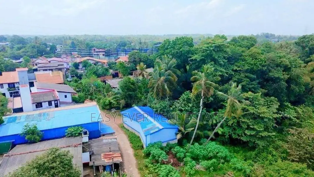 කැළණිය ගෝනවල පර්චස් 17 වටිනා ඉඩමක් / ST 13338