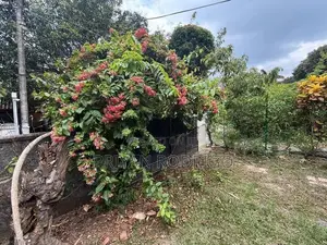 Thalawathugoda Temple Road 25 Perches of Land with an old House for Sa