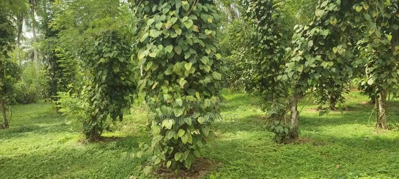 Land for Sale in Matthegoda