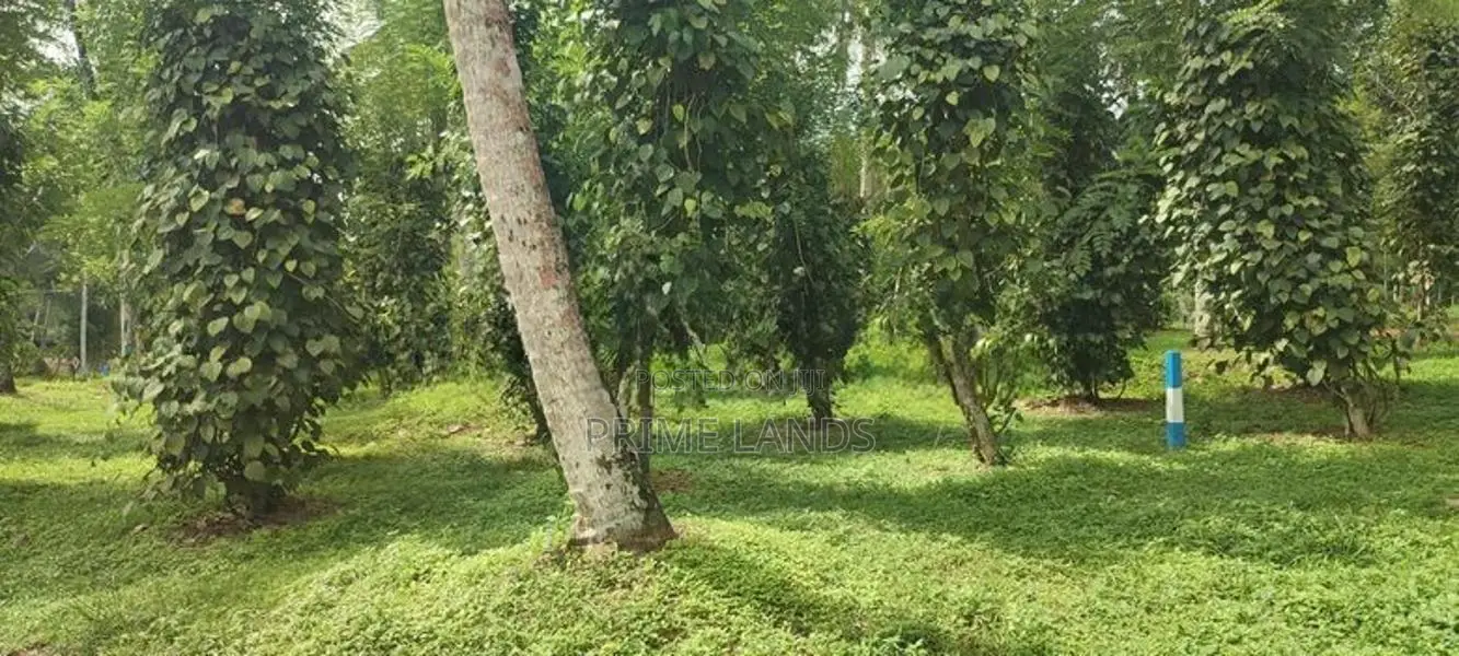 Land for Sale in Matthegoda