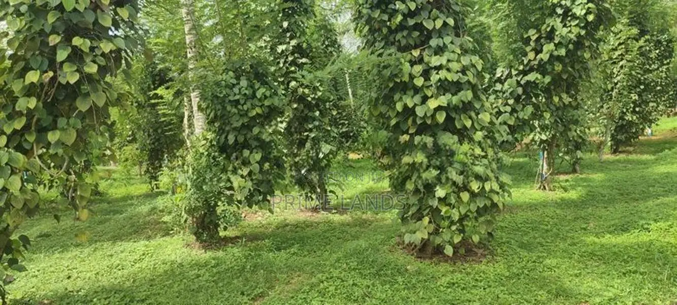 Land for Sale in Matthegoda