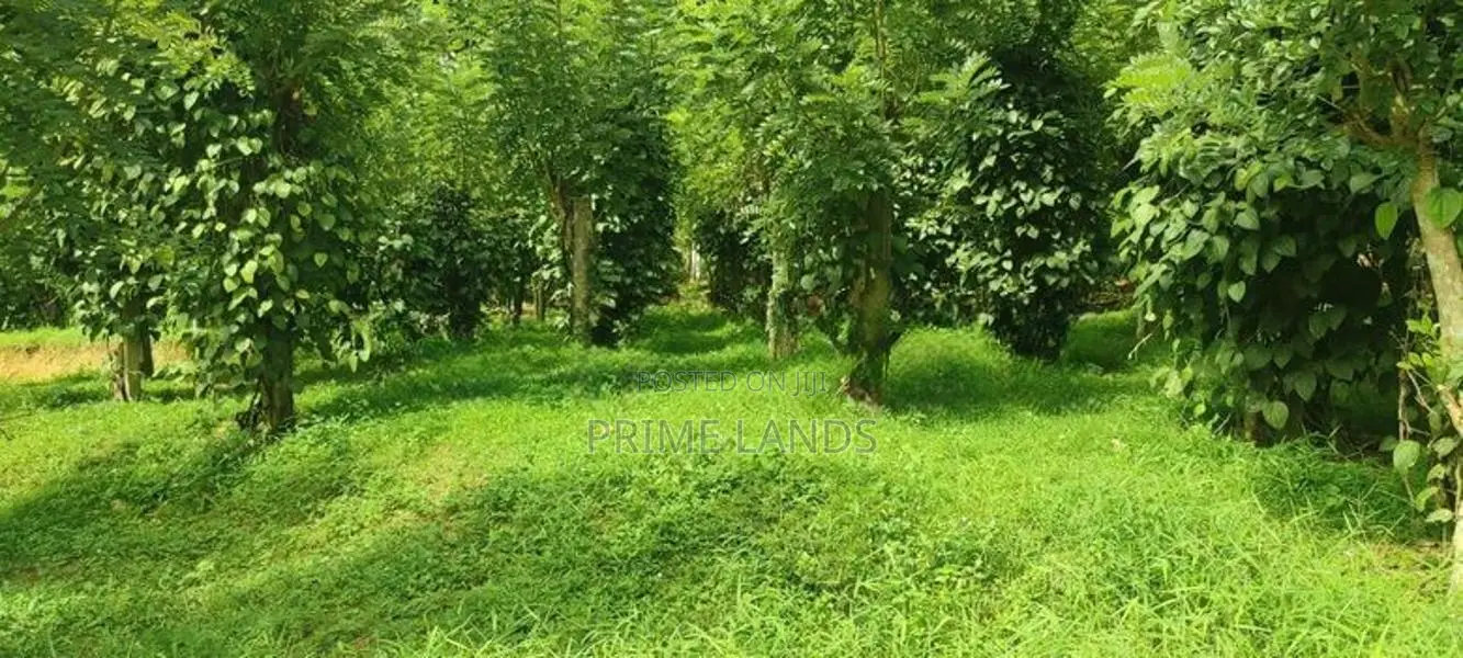 Land for Sale in Matthegoda