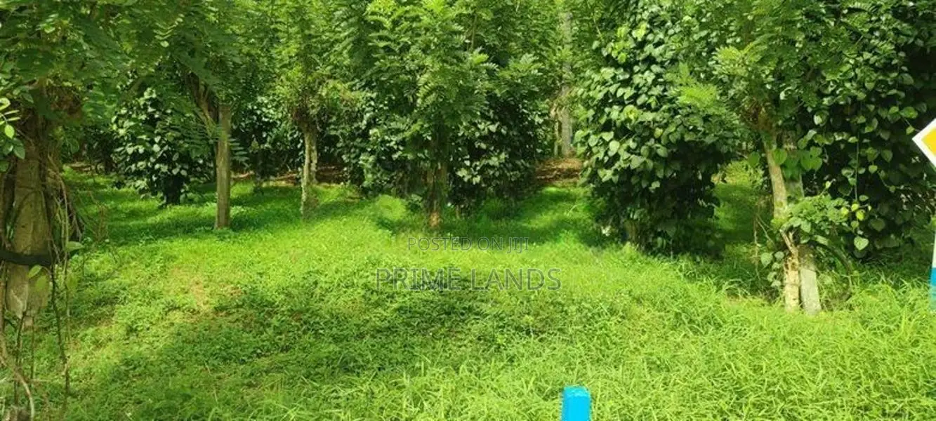Land for Sale in Matthegoda