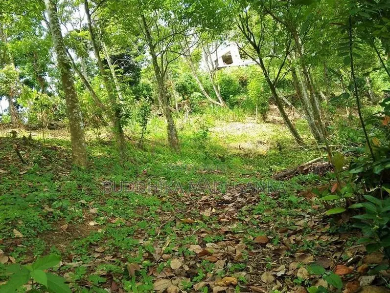 Land for Sale in Wawulugala