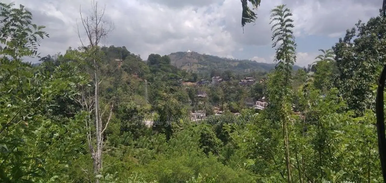 Land for Sale Ella