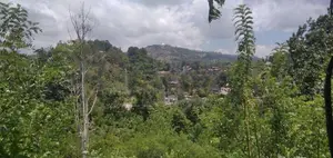 Land for Sale Ella