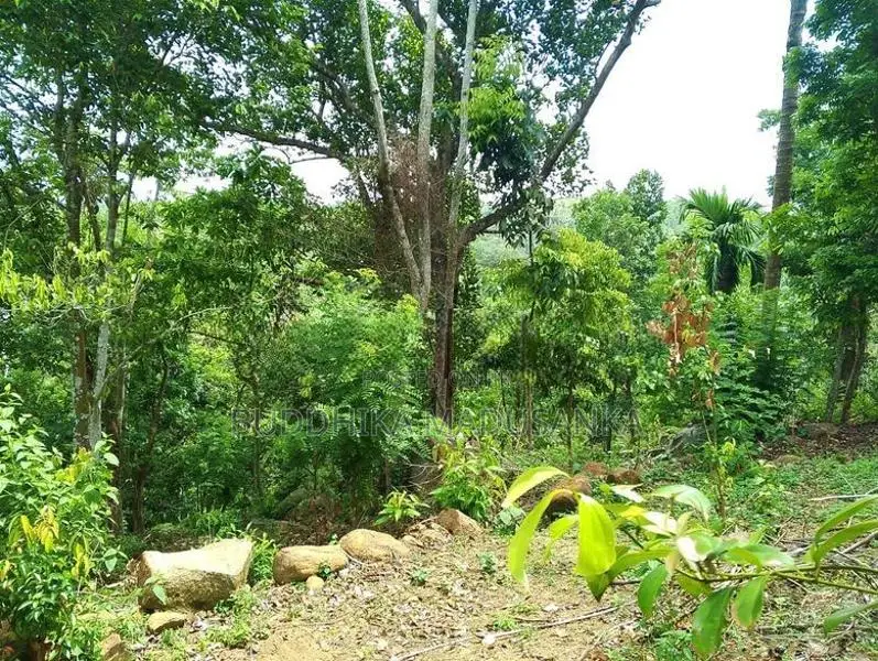 Land for Sale in Wawulugala