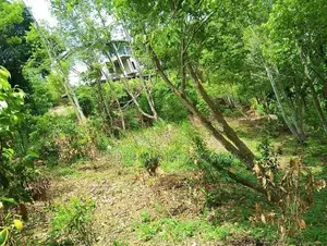 Land for Sale in Wawulugala